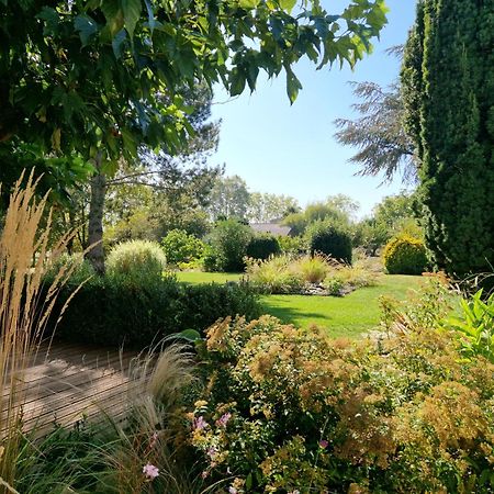 Chambre Hote Avec Piscine - La Vialatte Gaillac Dış mekan fotoğraf